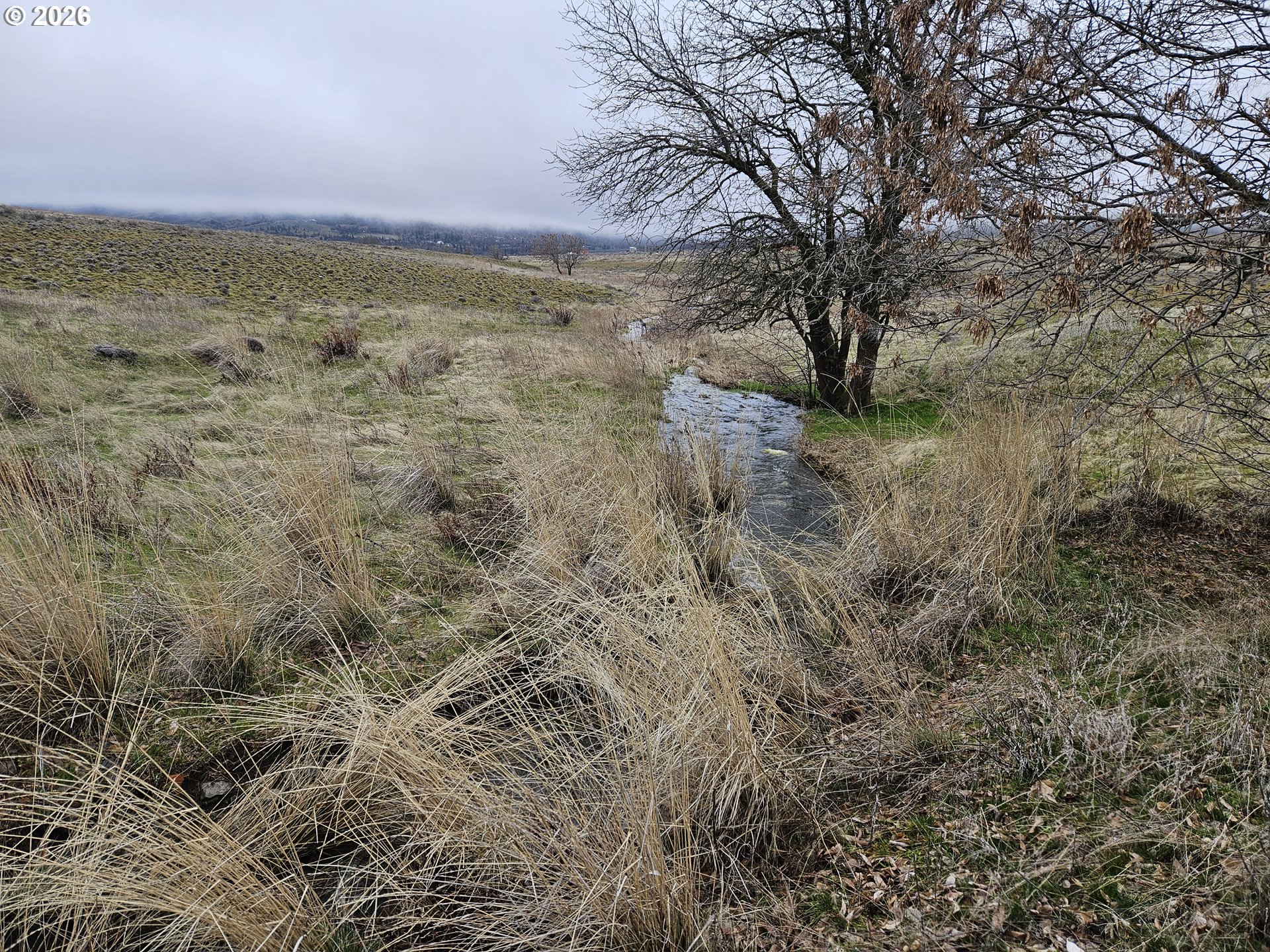 44 Dightons Lane Goldendale, WA 98620 - Photo 7 of 15 a view of a field with an trees