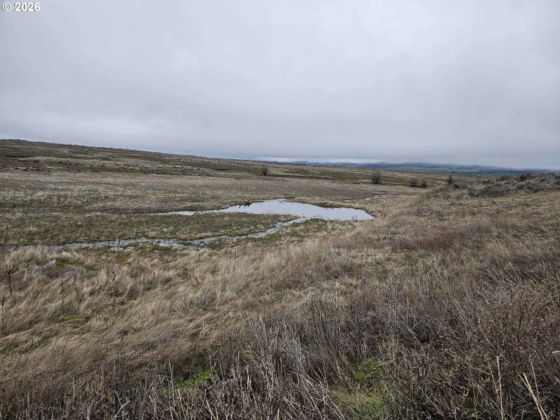 44 Dightons Lane Goldendale, WA 98620 - Photo 8 of 15 a view of an ocean