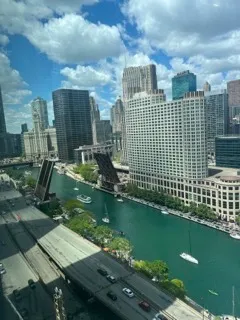 a dining room with furniture and a potted plant