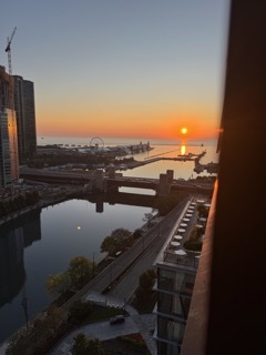 363 East Wacker Drive, Unit 1402 Chicago, IL 60601 - Photo 18 of 75