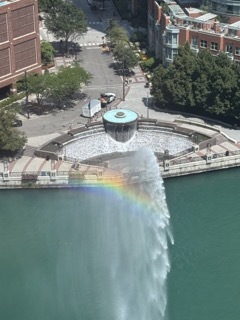 363 East Wacker Drive, Unit 1402 Chicago, IL 60601 - Photo 20 of 75 a view of a backyard with plants and lake view