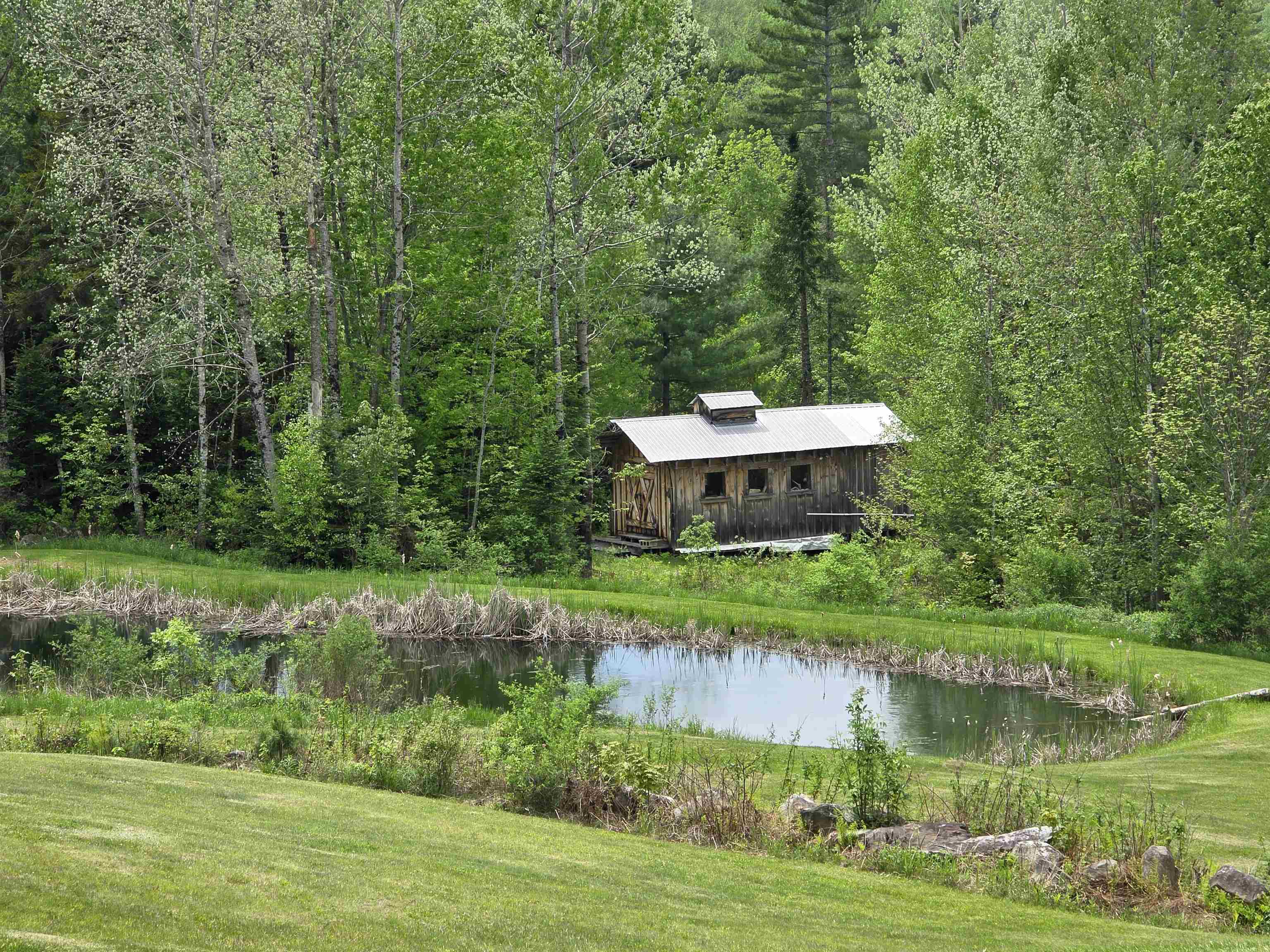 233 Jerusalem Road Marshfield, VT 05667 - Photo 3 of 39