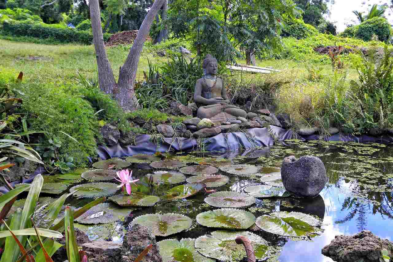 13434 Kula Highway Kula, HI 96790 - Photo 15 of 30 a picture of flowers