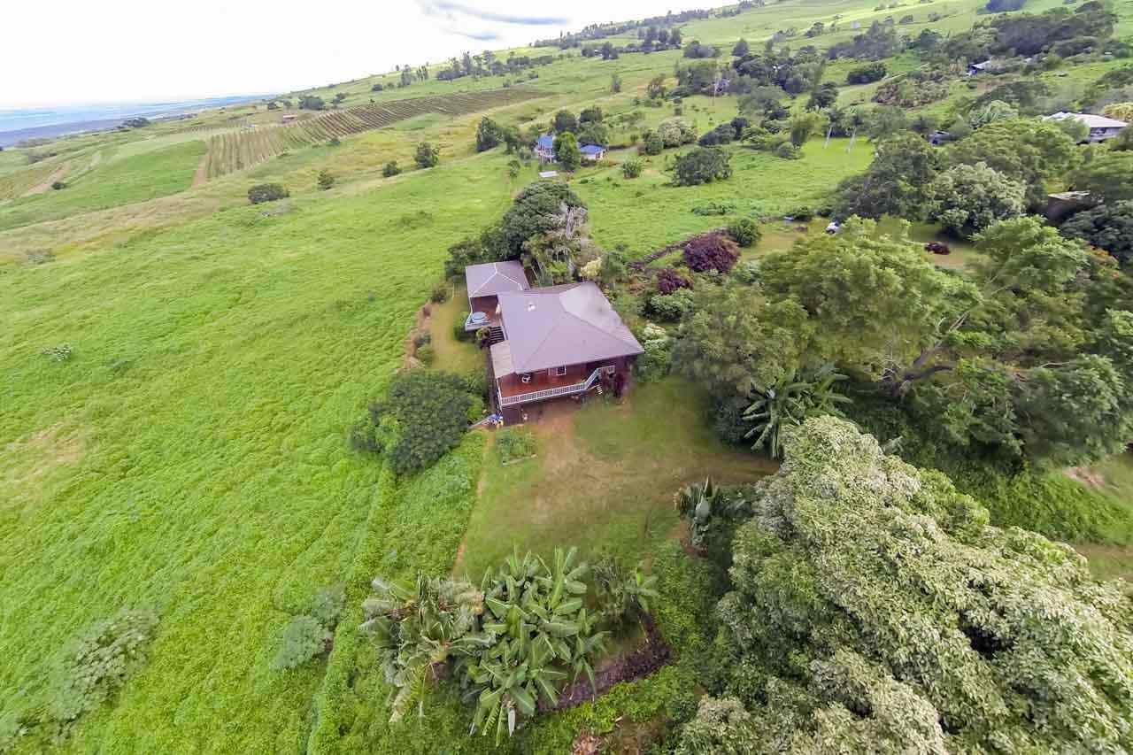 13434 Kula Highway Kula, HI 96790 - Photo 21 of 30 a view of a lush green forest with lots of trees