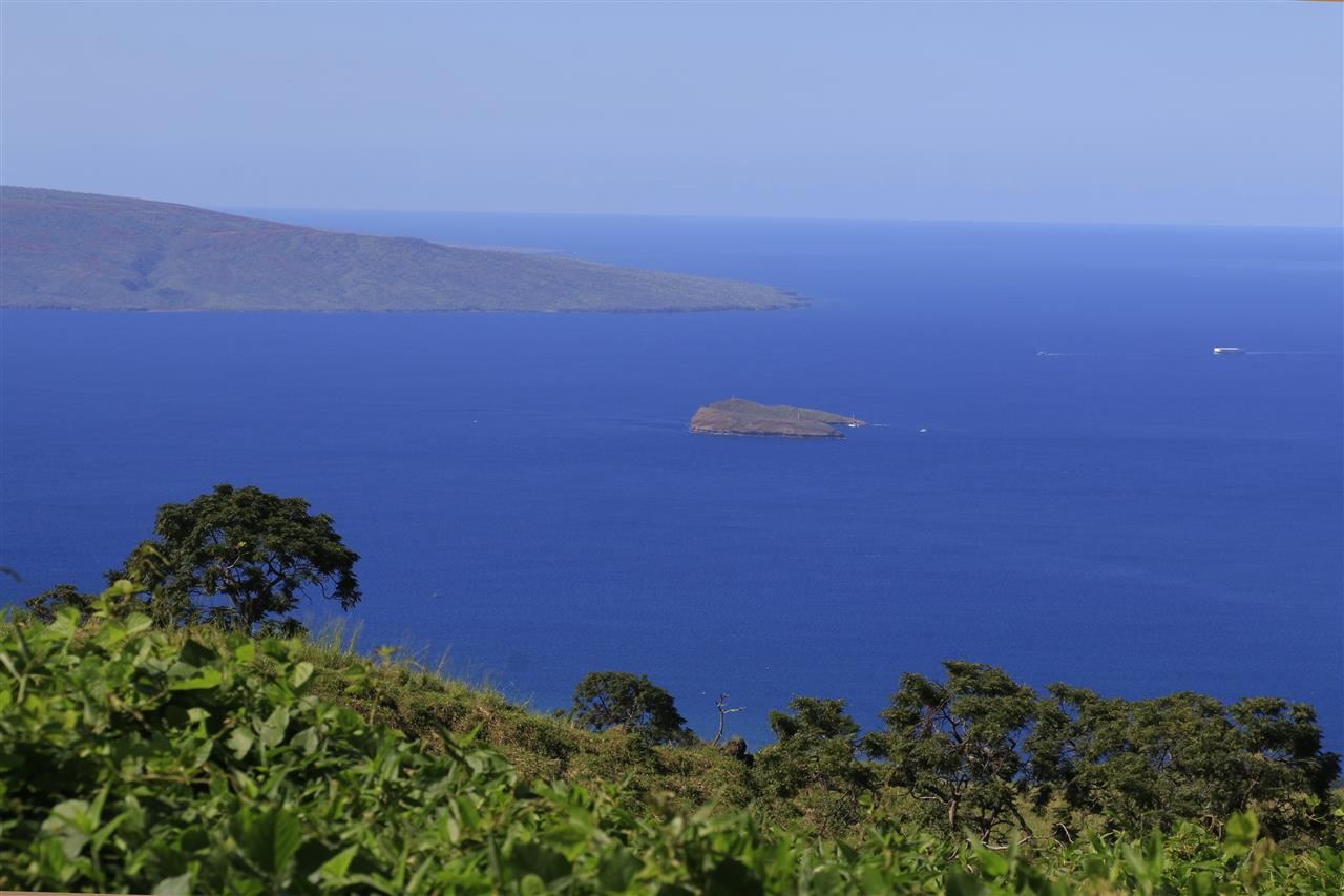 13434 Kula Highway Kula, HI 96790 - Photo 27 of 30