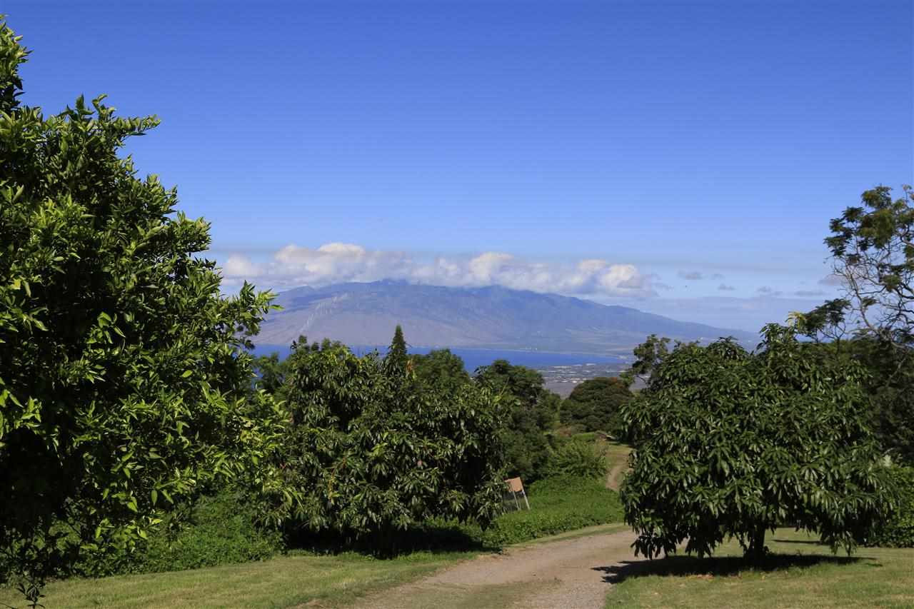 13434 Kula Highway Kula, HI 96790 - Photo 28 of 30 a view of a city with lush green forest