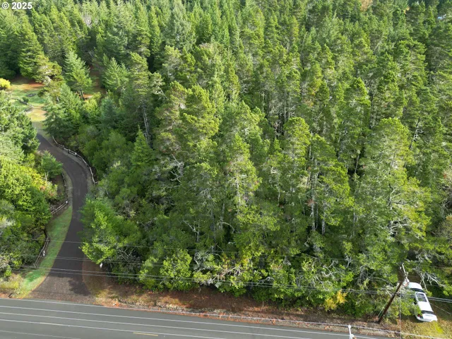 a view of a yard with plants and a bench