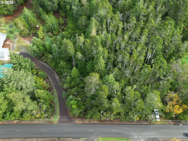 an aerial view of a yard