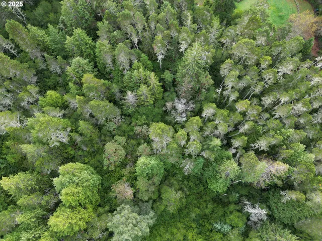 an outdoor view of a house with a tree