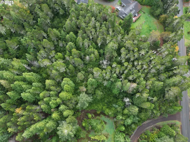 a view of a lush green forest with a houses