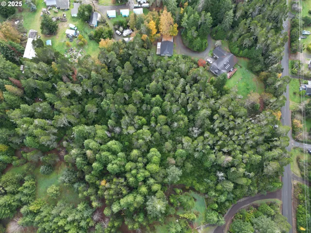 a view of a house with a tree