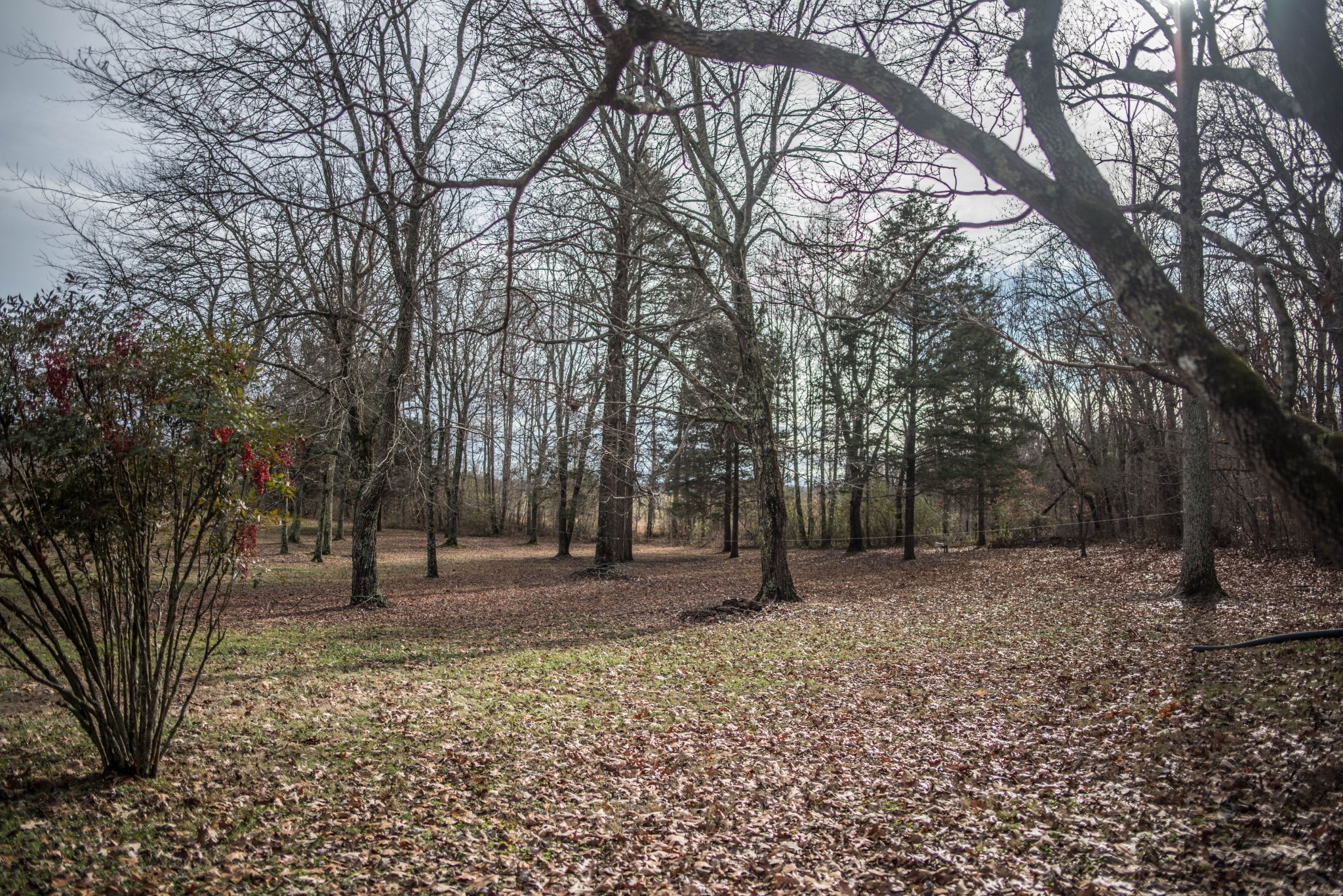 522 4 Seasons Road Smithville, TN 37166 - Photo 19 of 24 Gallery Image 19