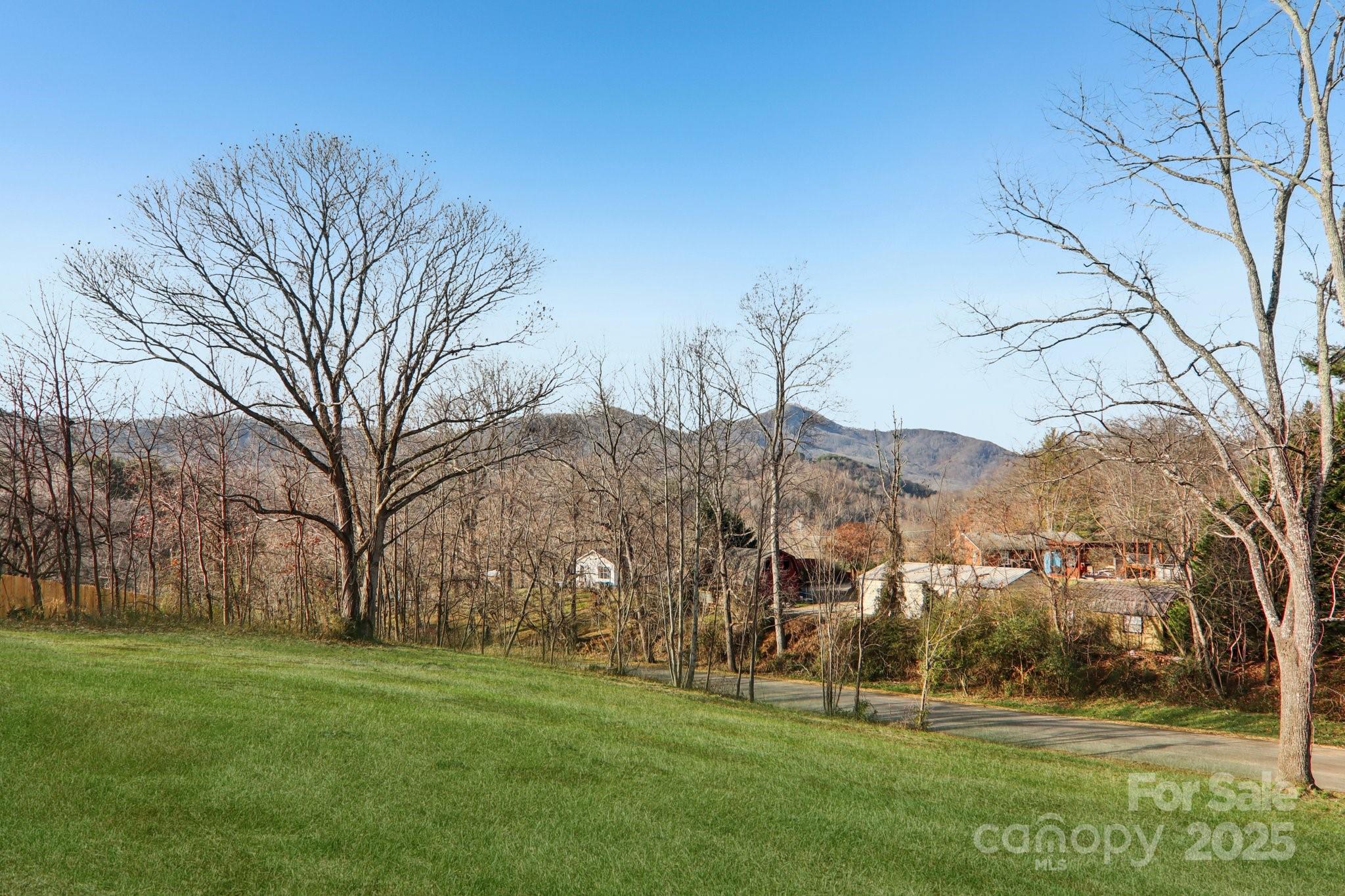 119 Lincoln Rdg Drive, Unit 1 Candler, NC 28715 - Photo 6 of 44 a view of grassy field