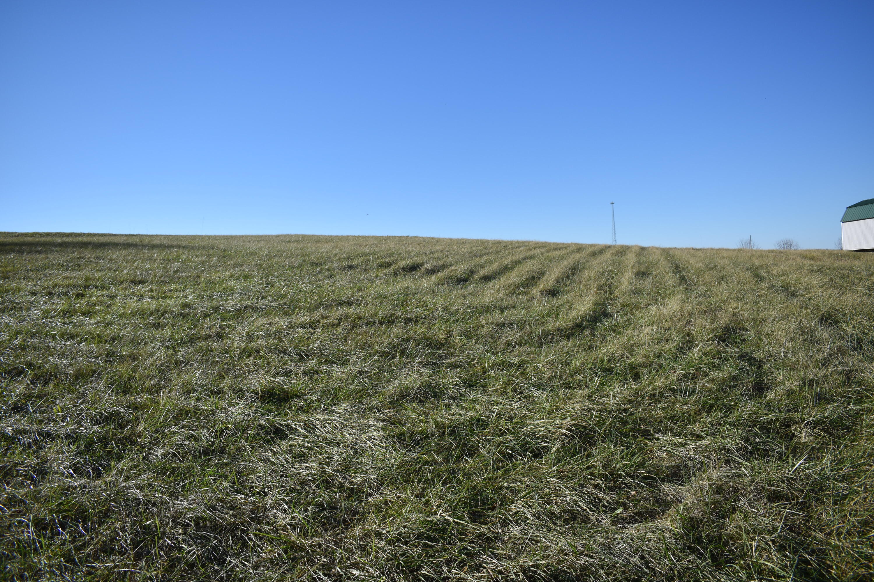 0 Woodlake Road Stamping Ground, KY 40379 - Photo 2 of 5 DSC_0385