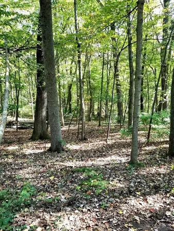 $259,900 | 0 Red Gate Lane, Amherst, MA 01002