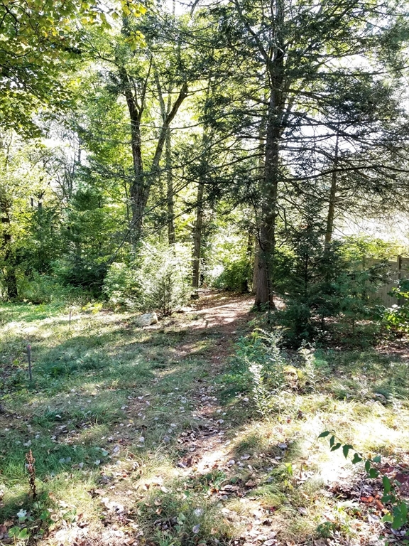 0 Red Gate Lane Amherst, MA 01002 - Photo 4 of 6 a view of outdoor space and yard