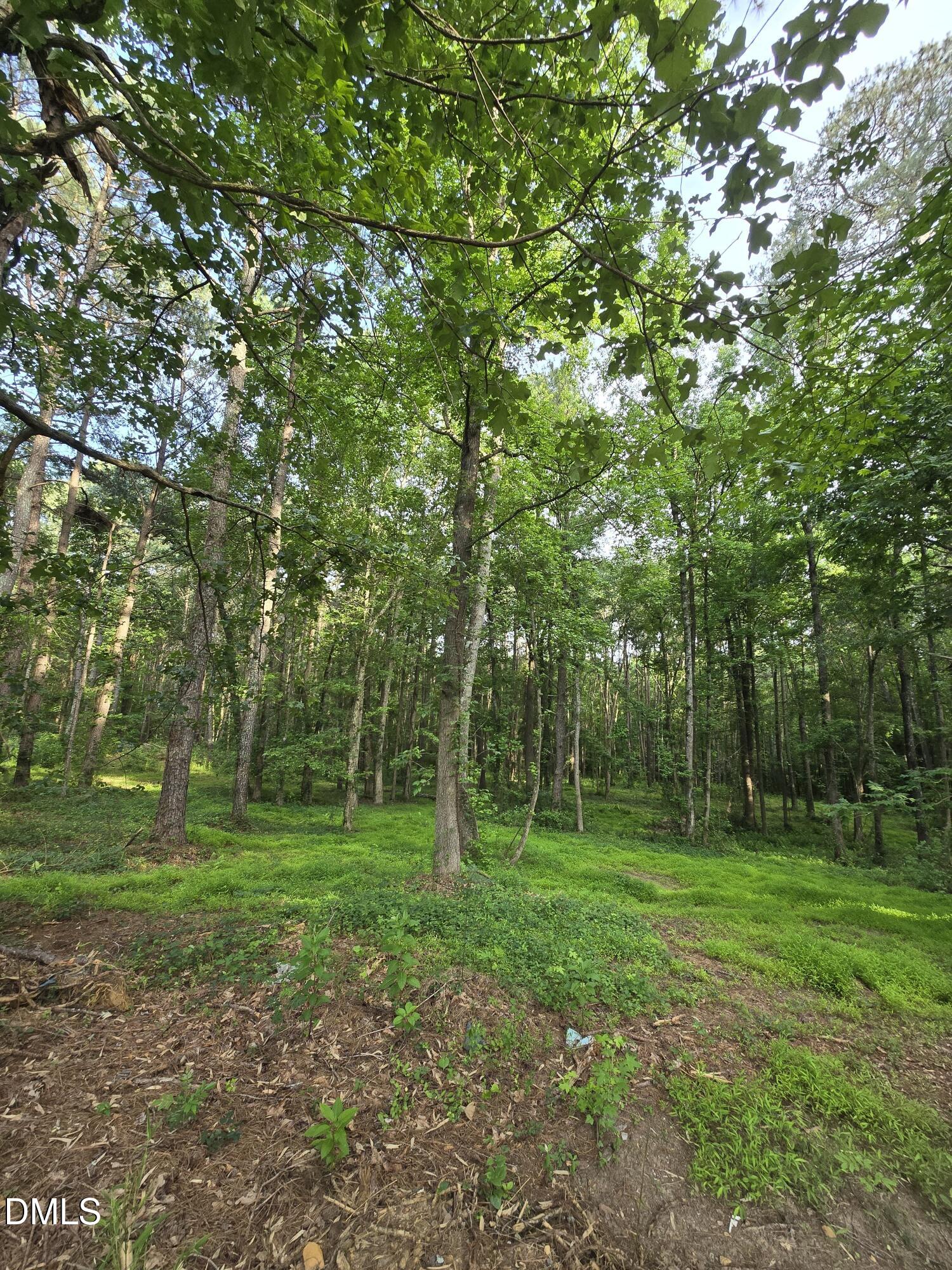 0 Honeycutt Road Willow Spring, NC 27592 - Photo 9 of 18 1000013406