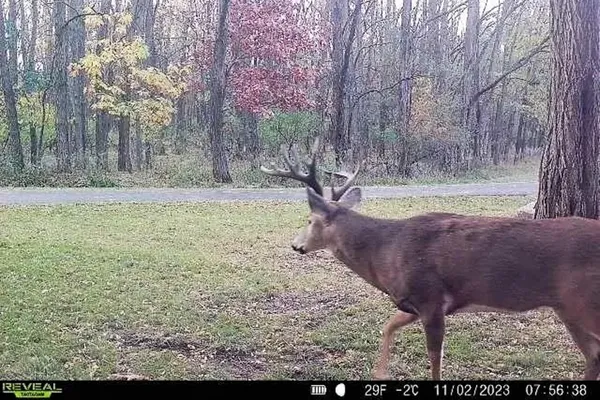 $679,000 | W2948 County Rd C, Montello, WI 53949