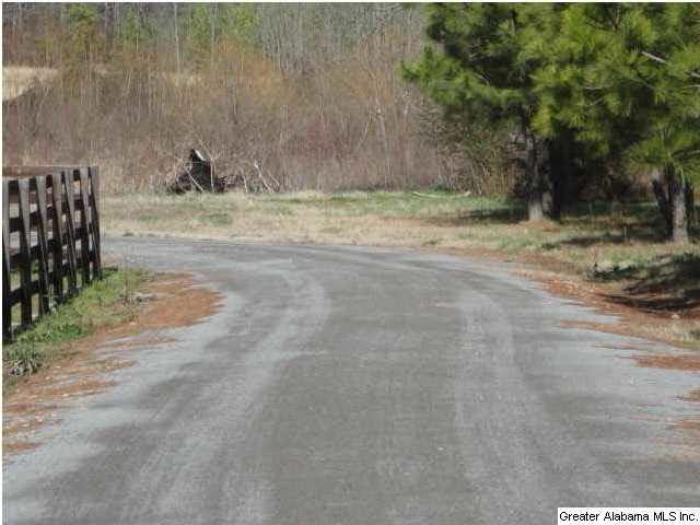 12962 Gallant Road Gallant, AL 35972 - Photo 30 of 32