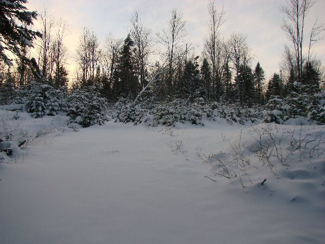 7597 State Rte 3 Vermontville, NY 12989 - Photo 3 of 6 Gallery Image 3