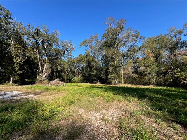 16137 East Minnesota Park Road Hammond, LA 70403 - Photo 17 of 18