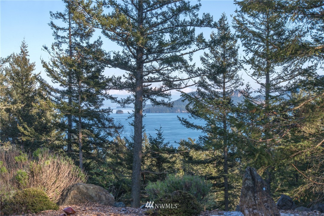 729 Roehl's Hill Road Orcas Island, WA 98279 - Photo 4 of 25 Gallery Image 4