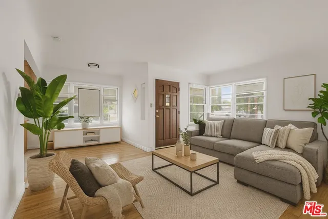 a living room with furniture potted plant and a window