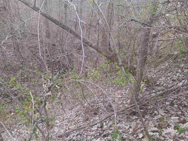 $164,499 | 10801 Buckskin, Poland, IN 47868