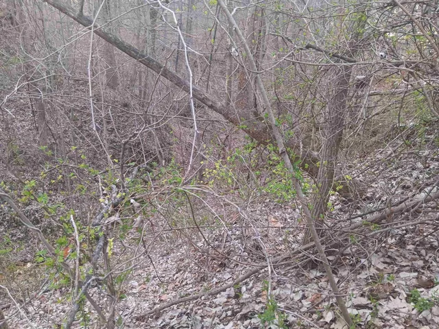 $165,000 | 10801 Buckskin, Poland, IN 47868