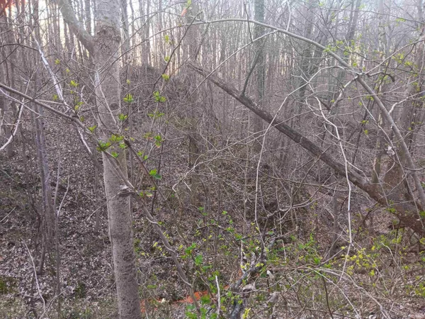 $164,499 | 10801 Buckskin, Poland, IN 47868