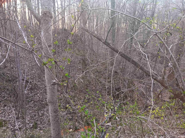 $165,000 | 10801 Buckskin, Poland, IN 47868