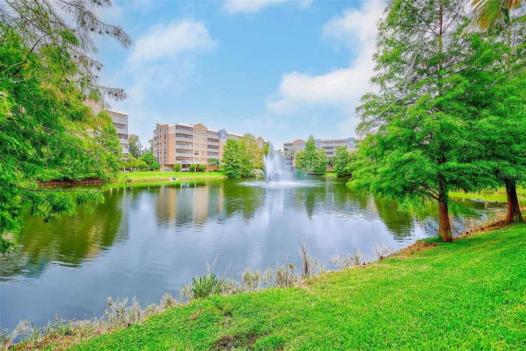 960 Starkey Road, Unit 6206 Largo, FL 33771 - Photo 33 of 46 Gallery Image 33