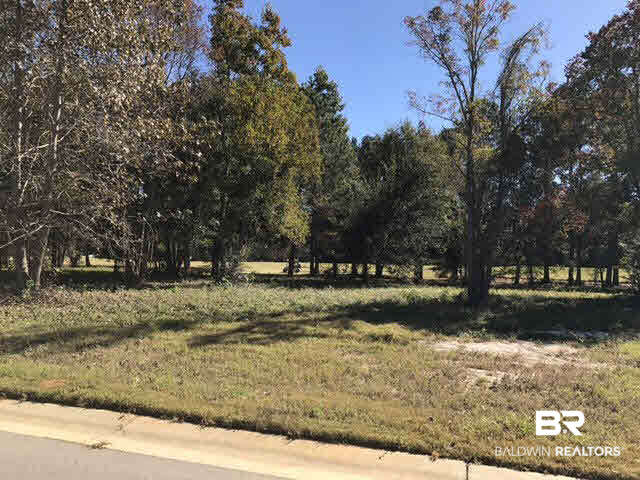 0 Old Battles Road Fairhope, AL 36532 - Photo 2 of 6