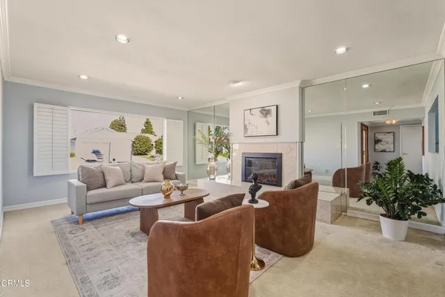 a living room with furniture potted plant and a fireplace