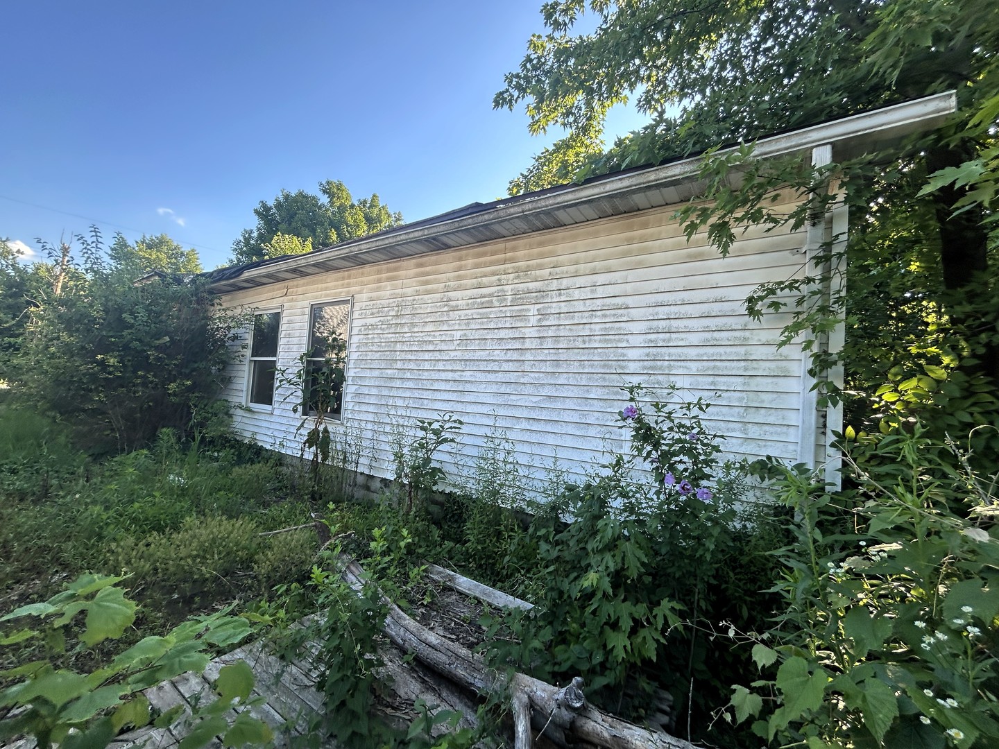 930 Vandalia Road Louisville, IL 62858 - Photo 11 of 13