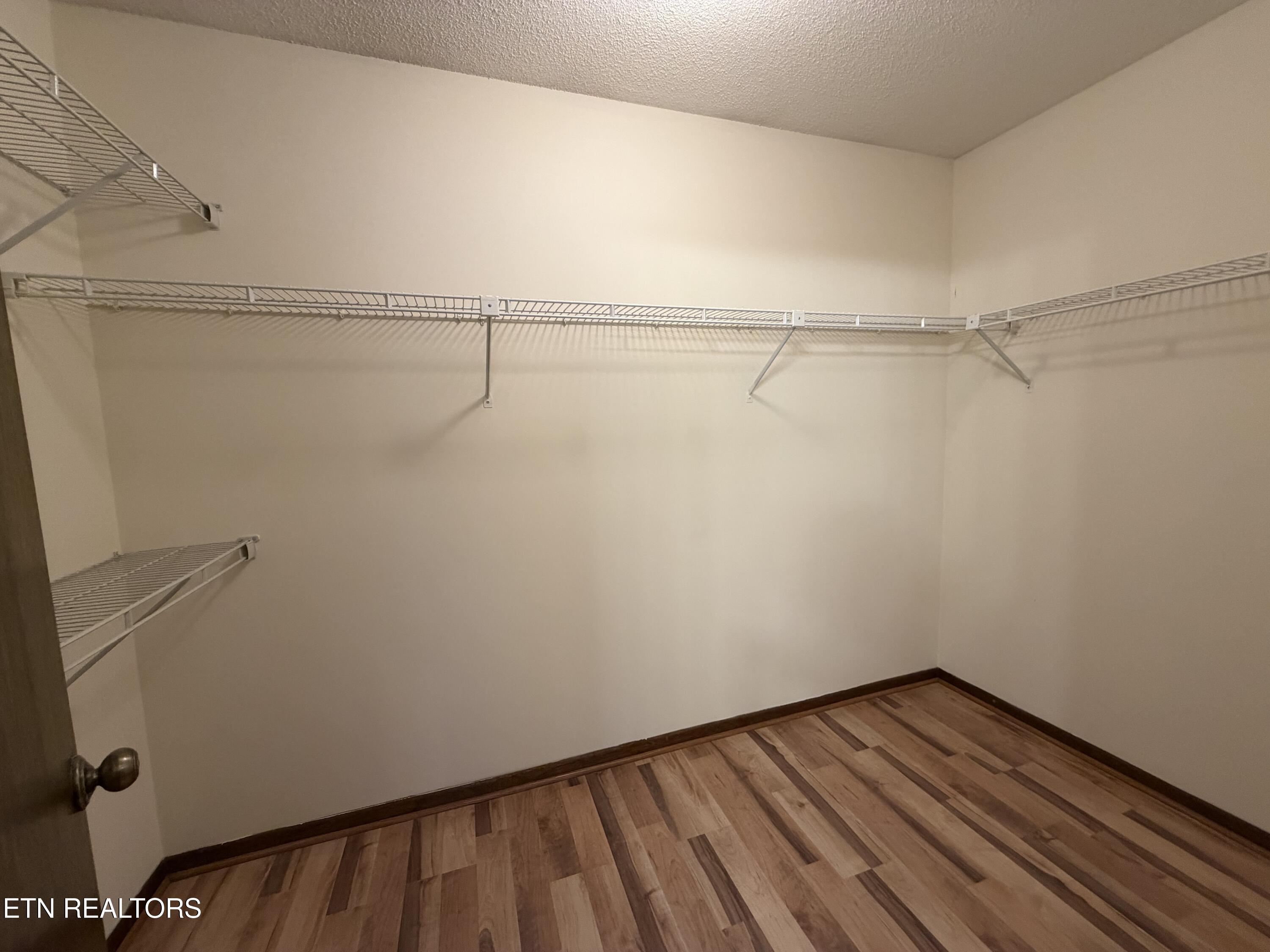 9112 Colchester Ridge Road Knoxville, TN 37922 - Photo 12 of 16 primary bedroom closet