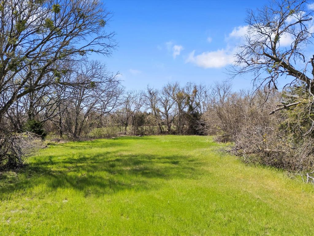 6409 Chiesa Road Rowlett, TX 75089 - Photo 11 of 16 a view of a trees in a yard