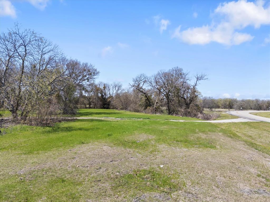 6409 Chiesa Road Rowlett, TX 75089 - Photo 10 of 16 a view of a field of grass and trees