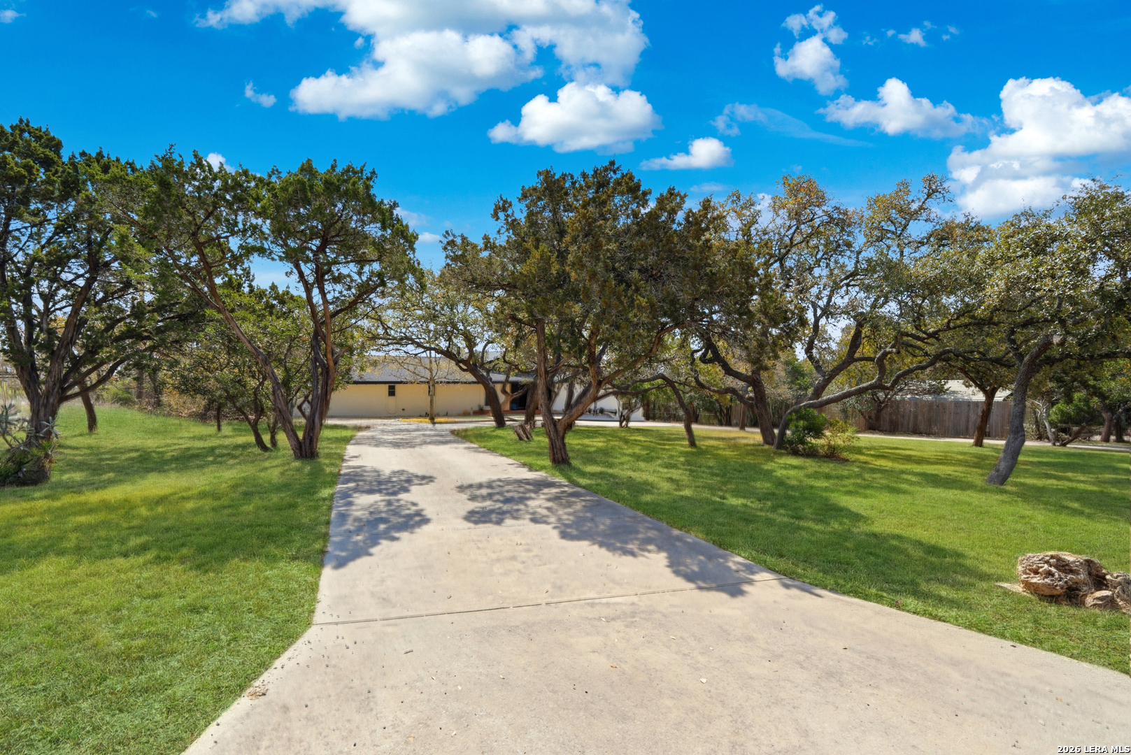 10206 Rafter S Trail Helotes, TX 78023 - Photo 5 of 49 a view of a yard with plants and trees