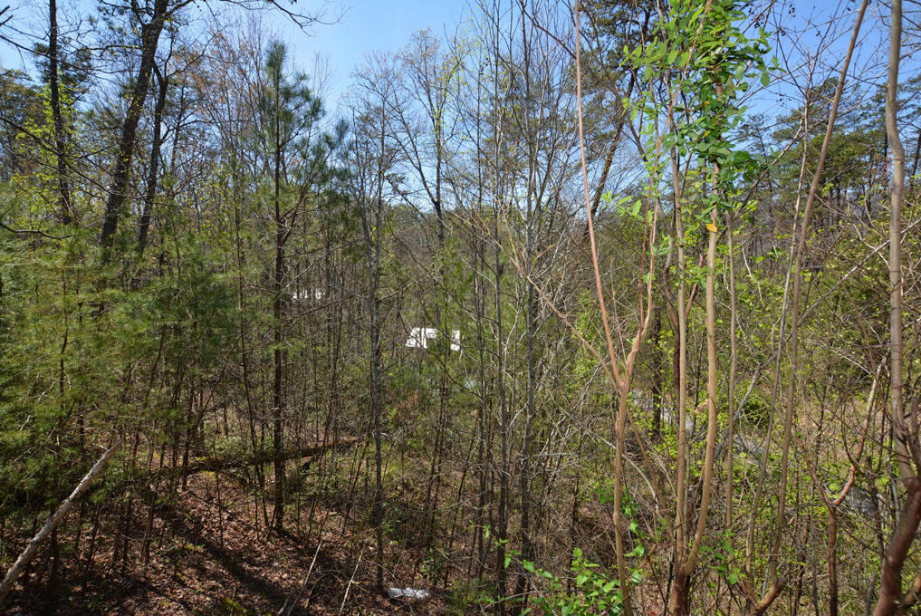 2148 Little Valley Road, Unit I Sevierville, TN 37862 - Photo 2 of 24 B