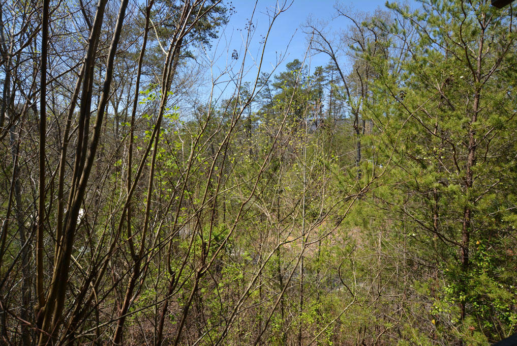 2148 Little Valley Road, Unit I Sevierville, TN 37862 - Photo 22 of 24 V
