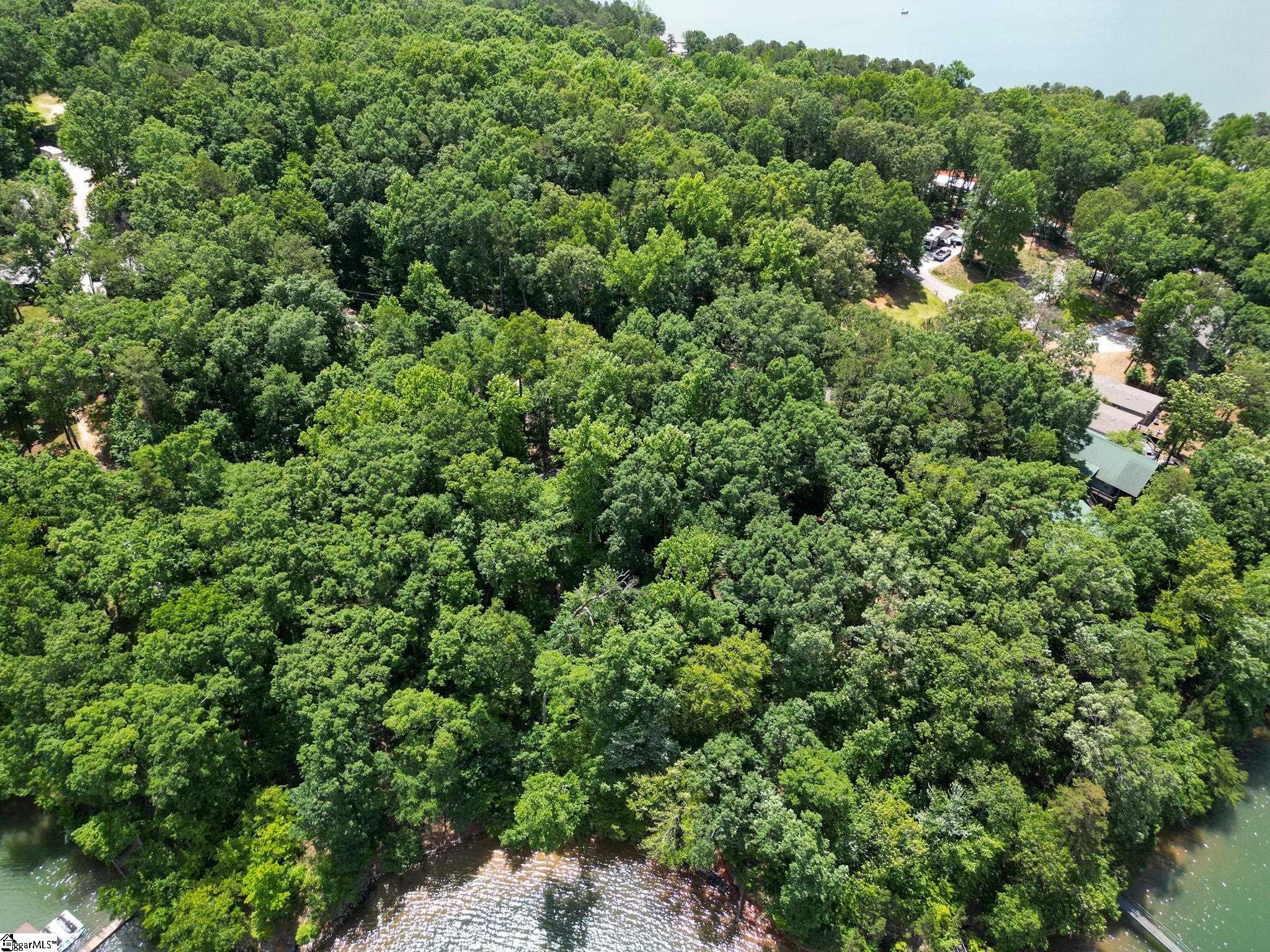 0 Shelor Ferry Road Fair Play, SC 29643 - Photo 11 of 35 Gallery Image 11