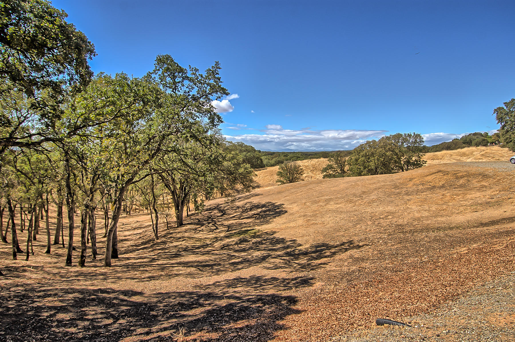 14569 McCoy Road Red Bluff, CA 96080 - Photo 47 of 61 Land