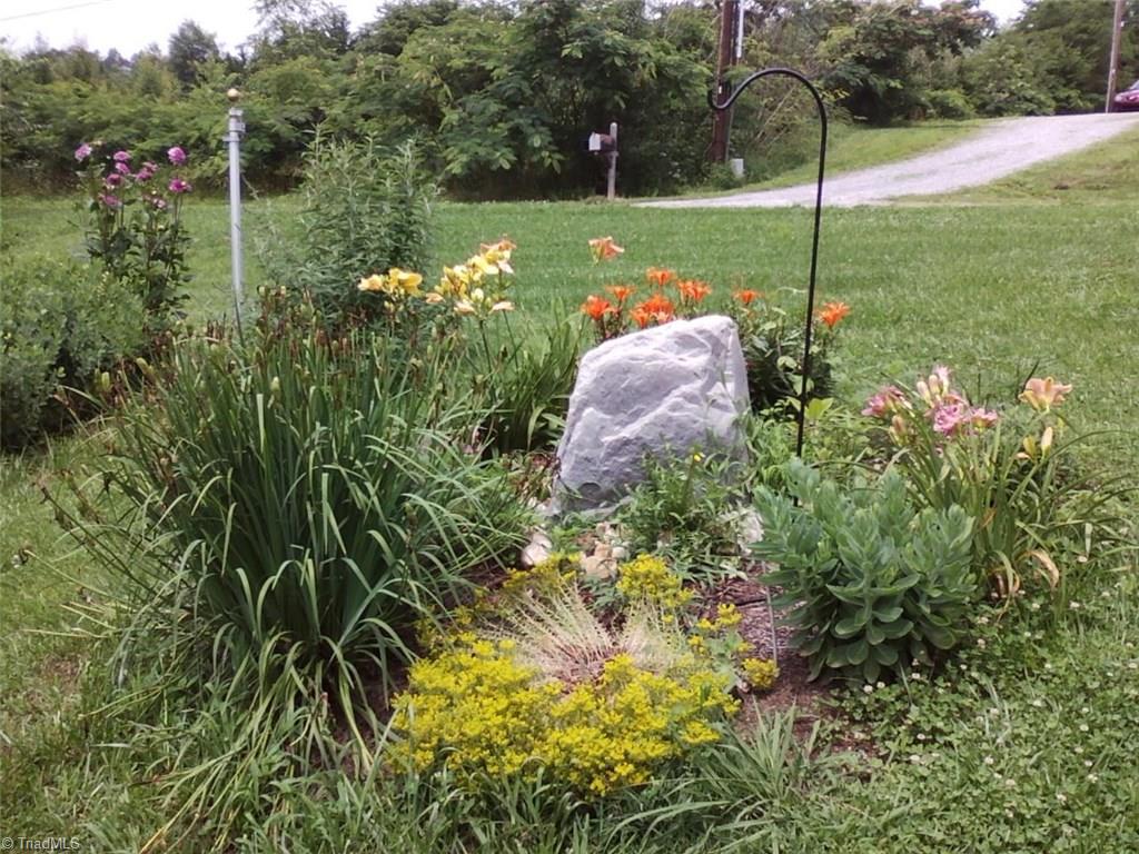 1040 Country Acres Road King, NC 27021 - Photo 18 of 20 The flowers bed look a little rough right now but as you can see they were beautiful in bloom. There are 94 different types of Day Lilly's on the property, cultivated Blueberry Bushes, Veggie Garden and Perennial Gardens