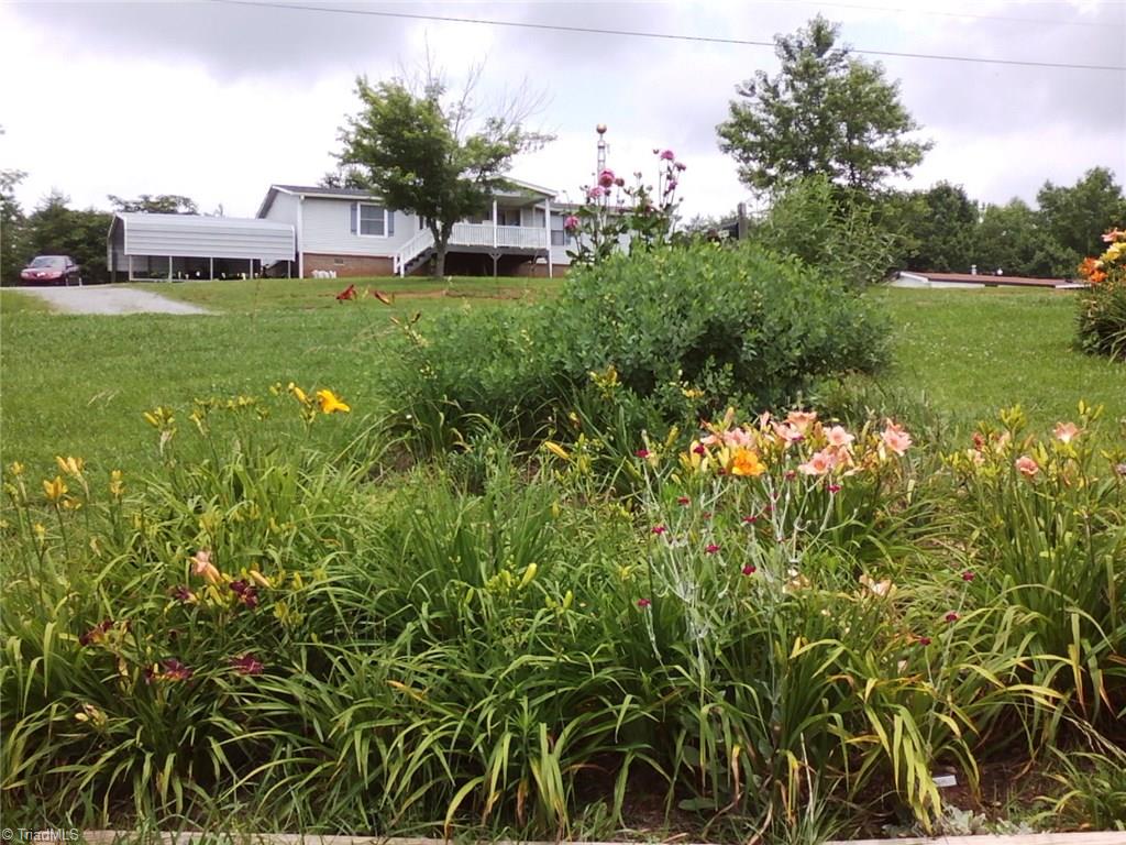 1040 Country Acres Road King, NC 27021 - Photo 19 of 20 The flowers bed look a little rough right now but as you can see they were beautiful in bloom. There are 94 different types of Day Lilly's on the property, cultivated Blueberry Bushes, Veggie Garden and Perennial Gardens
