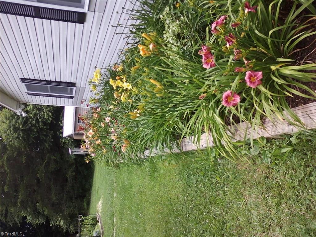 1040 Country Acres Road King, NC 27021 - Photo 20 of 20 The flowers bed look a little rough right now but as you can see they were beautiful in bloom. There are 94 different types of Day Lilly's on the property, cultivated Blueberry Bushes, Veggie Garden and Perennial Gardens