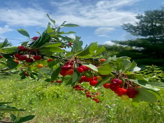 $749,900 | 86360 Meyers-Olson Road, Bayfield, WI 54814