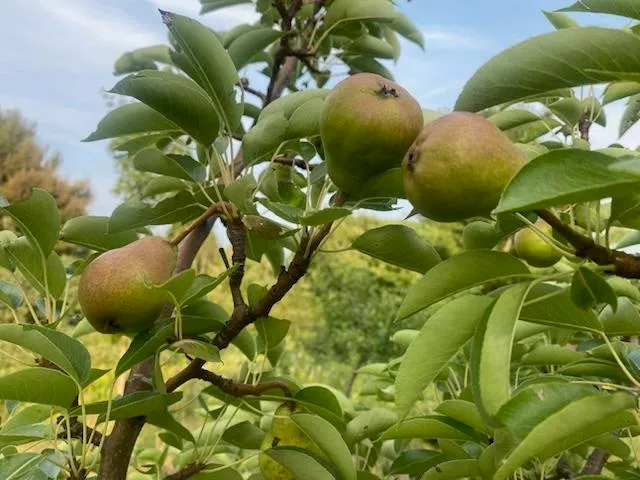 $749,900 | 86360 Meyers-Olson Road, Bayfield, WI 54814