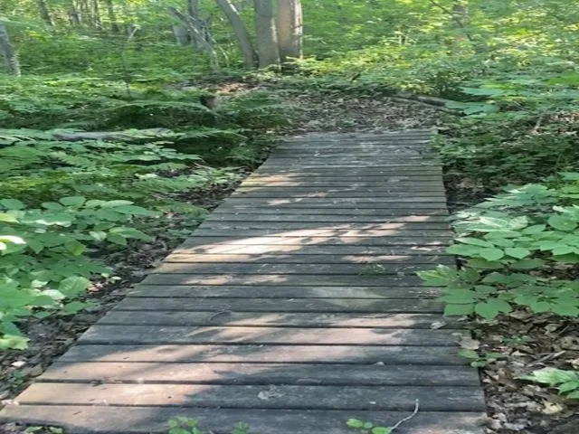 $749,900 | 86360 Meyers-Olson Road, Bayfield, WI 54814