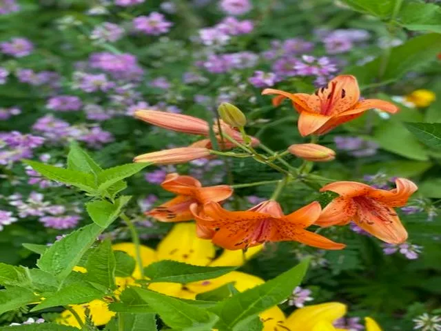 $749,900 | 86360 Meyers-Olson Road, Bayfield, WI 54814